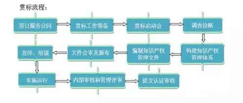 知识产权专业服务的深度解析与战略价值
