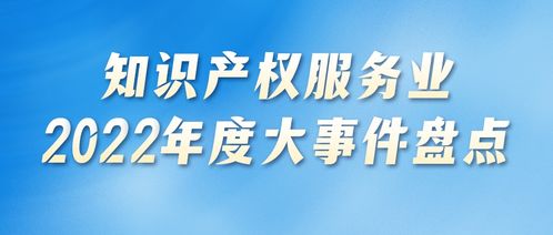 2022年度知识产权服务业发展促进篇 政策引领与业态革新并举