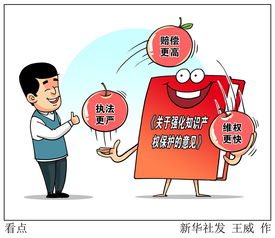 解读强化知识产权保护意见的三大核心看点——聚焦知识产权服务升级